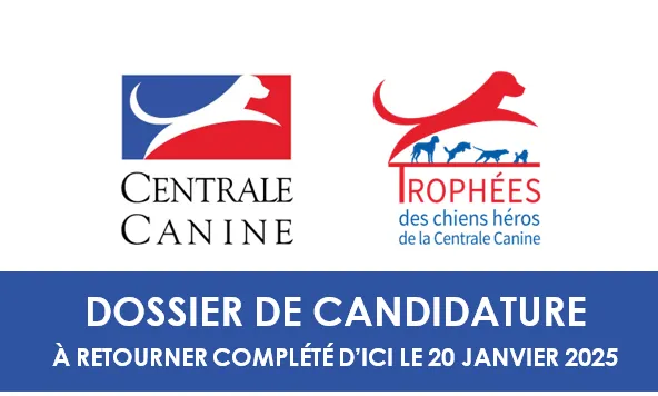 Trophées des Chiens Héros : La sécurité privée à l'honneur, inscrivez votre binôme !