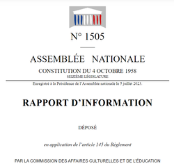 🔐🚀 L'avenir de la Sécurité Privée : Vers une Structure de Carrière Inspirée du SSIAP? Décryptage du Rapport N° 1505 📚🎯